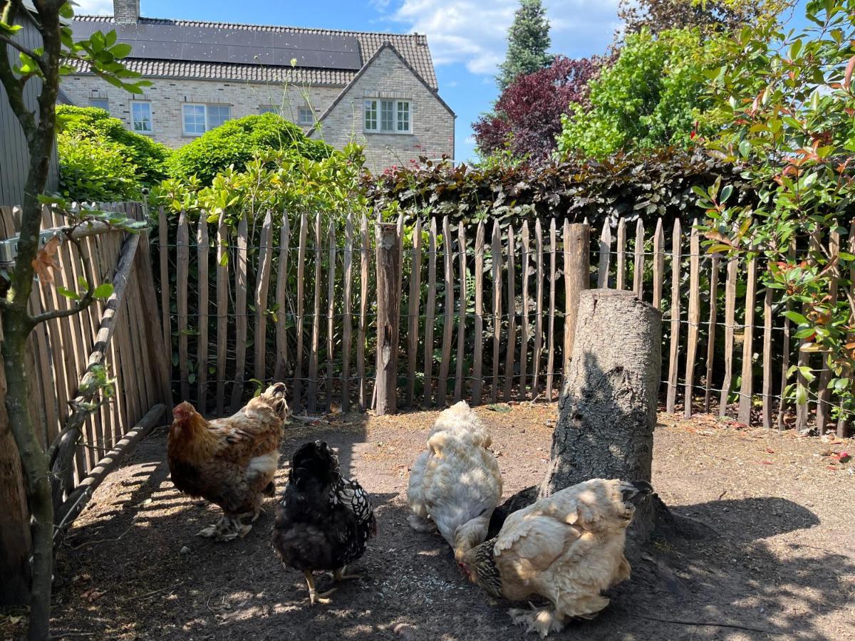 Sfeervol Familielandhuis In De Groene Kempen Baarle-Hertog Buitenkant foto