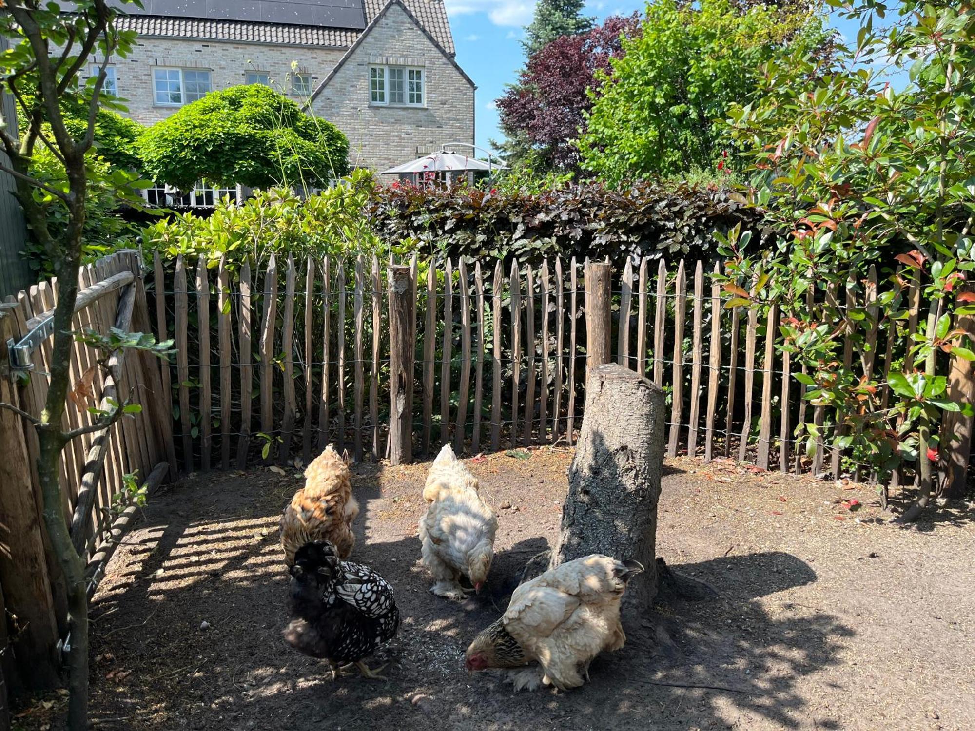 Sfeervol Familielandhuis In De Groene Kempen Baarle-Hertog Buitenkant foto